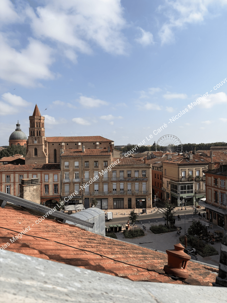 Vue de Toulouse depuis une toiture